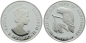 Preview: Cayman Islands 5 Dollars 1987 - Cuban Amazon